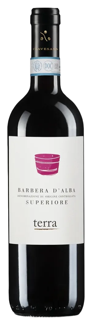 Terra Barbera d'Alba DOC Superiore