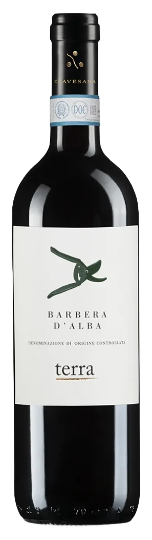 Terra Barbera d'Alba DOC