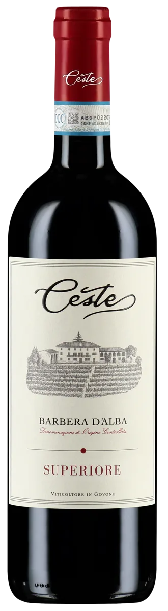 Barbera d'Alba Sposabella