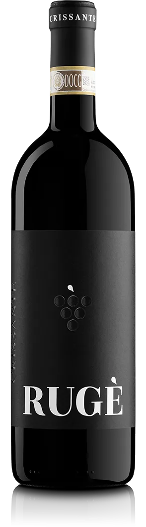 Barbera d'Alba Superiore Rugè