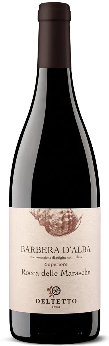 Barbera d'Alba Docg Superiore Rocca delle Marasche