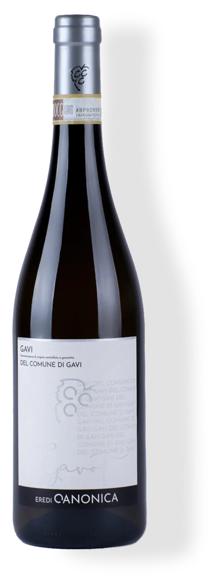 Gavi