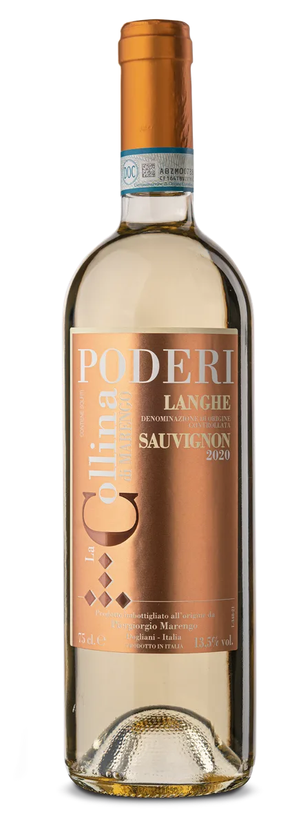 Sauvignon