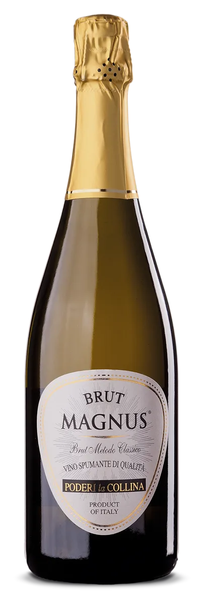 Magnus Brut