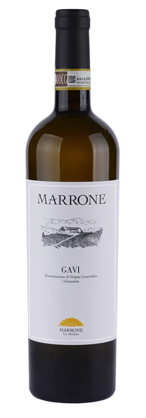 Gavi Docg