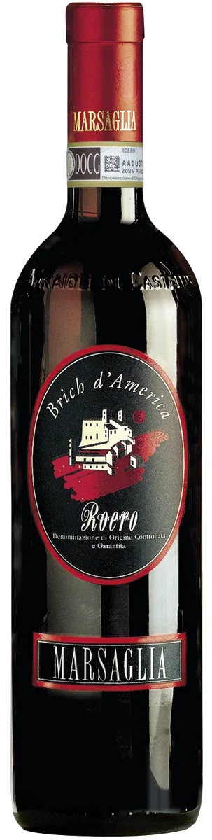 Brich d'America