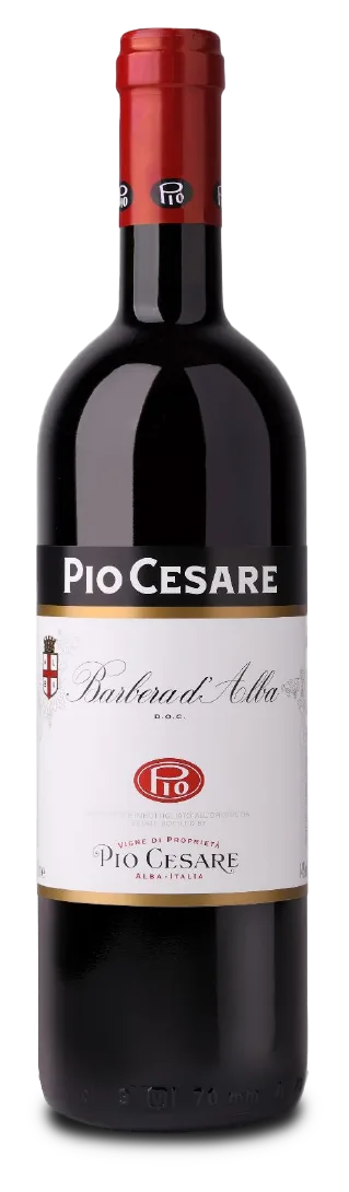 Barbera d’Alba
