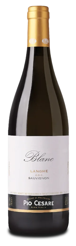 “Blanc” Langhe Sauvignon