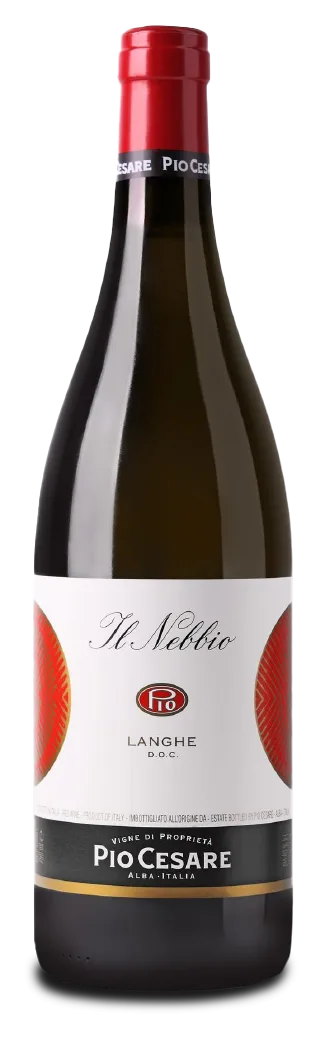 “Il Nebbio” Langhe