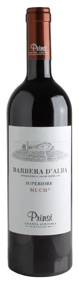 Barbera d'Alba Superiore Much