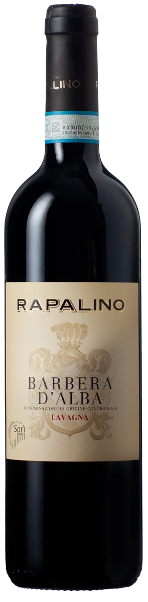 BARBERA D'ALBA D.O.C.