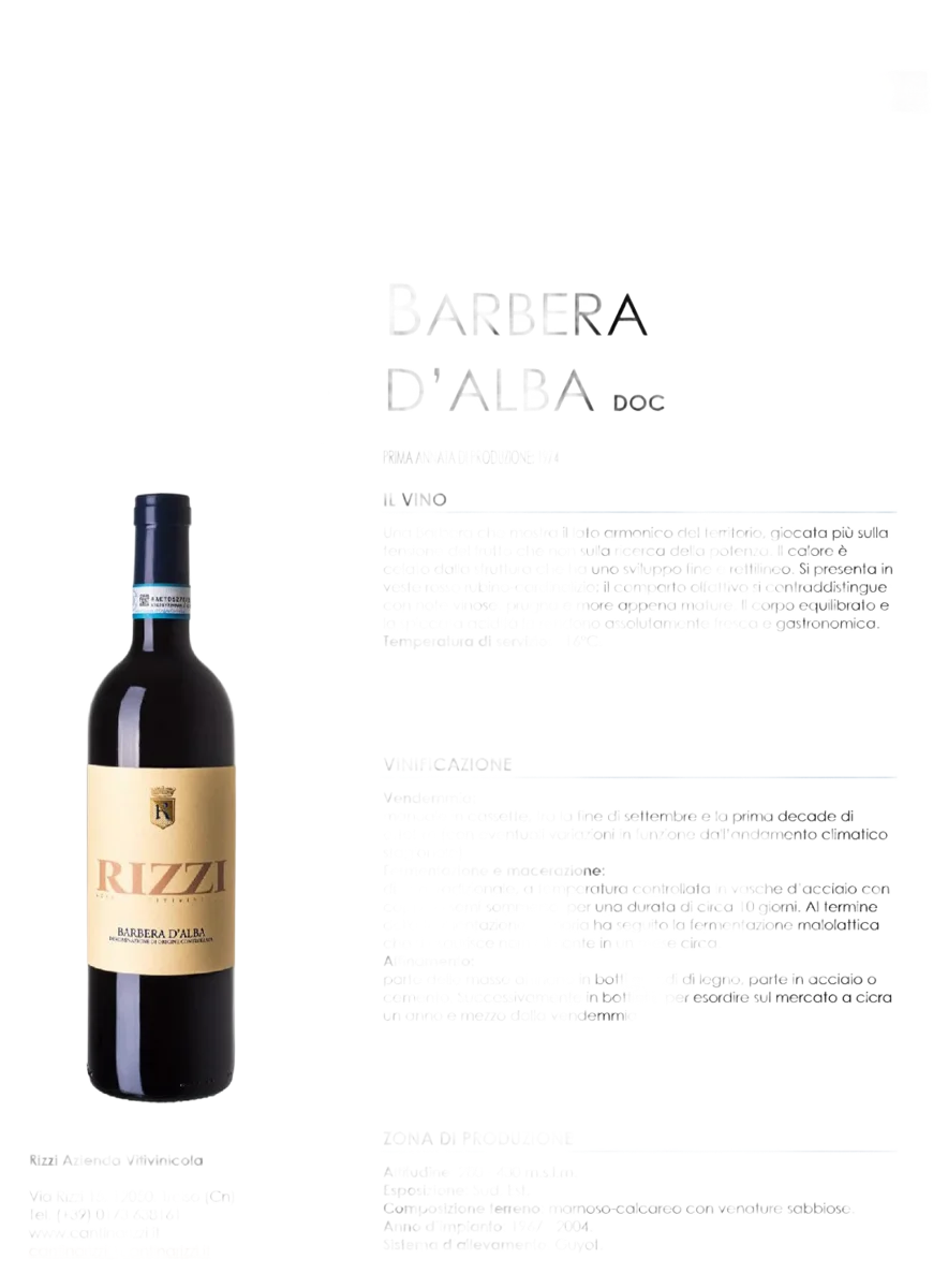 Barbera d'Alba