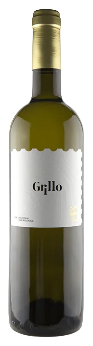 Grillo