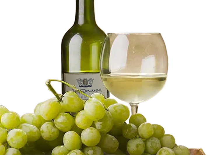 Vino Bianco