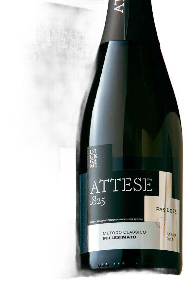 Attese 1825 — 60 Mesi