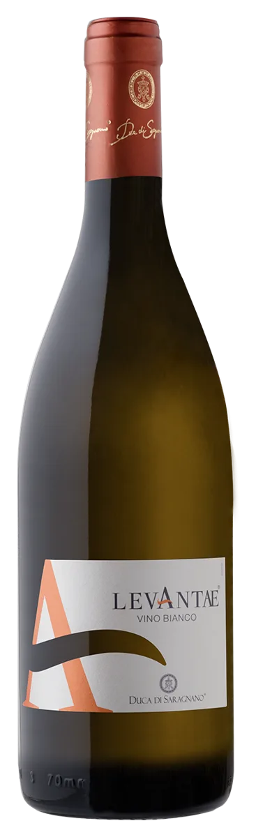 Levantae
