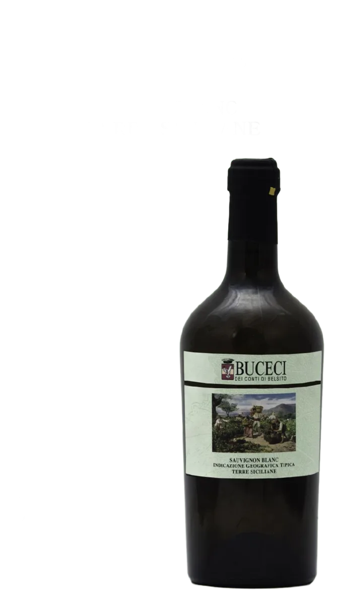 Sauvignon Blanc – Terre Siciliane