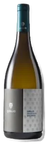 Grillo