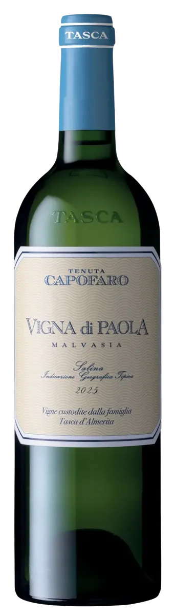 Vigna di Paola