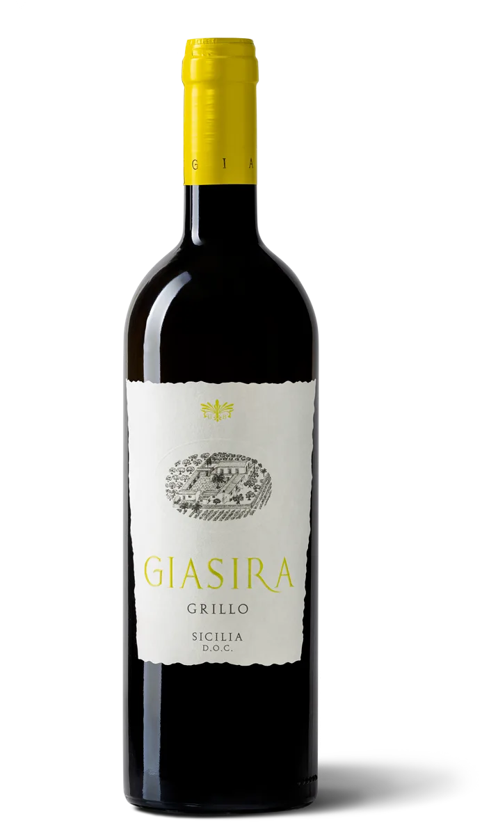 Grillo
