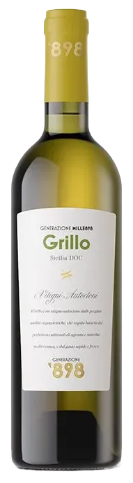 Grillo
