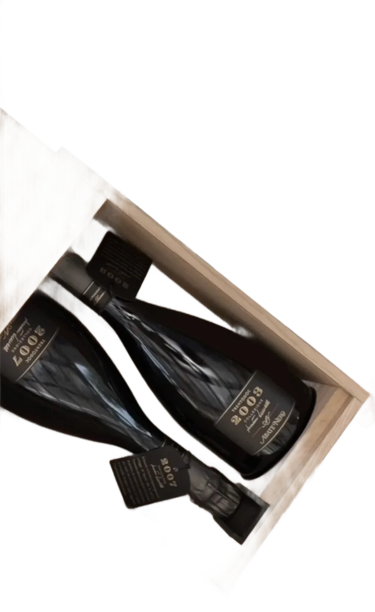 Collezione Luciano Lunelli 2003 2007