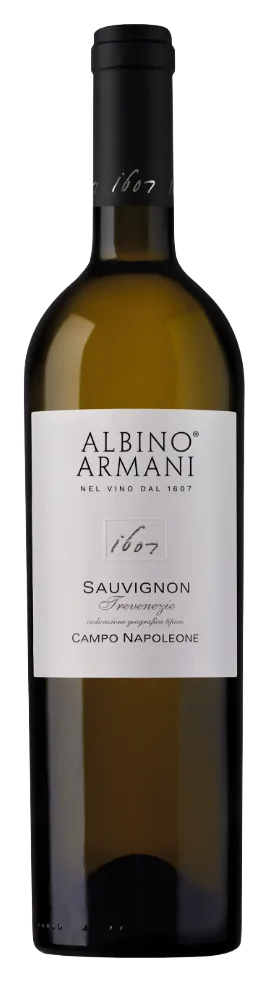 Sauvignon Campo Napoleone