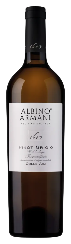 Pinot Grigio Colle Ara
