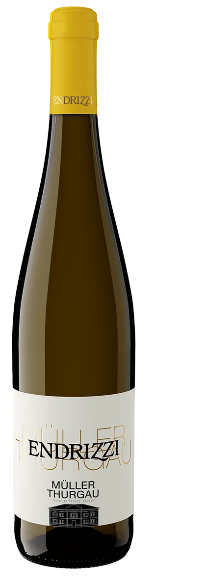 Müller Thurgau