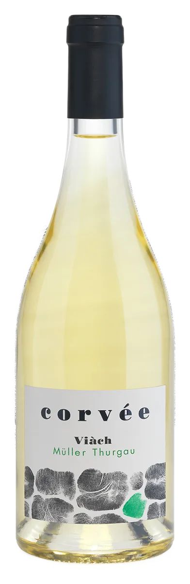 Viàch