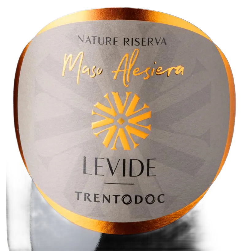 Maso Alesiera