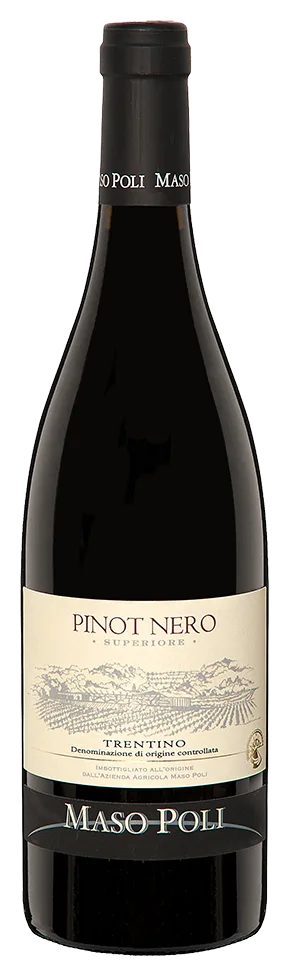 Pinot Nero