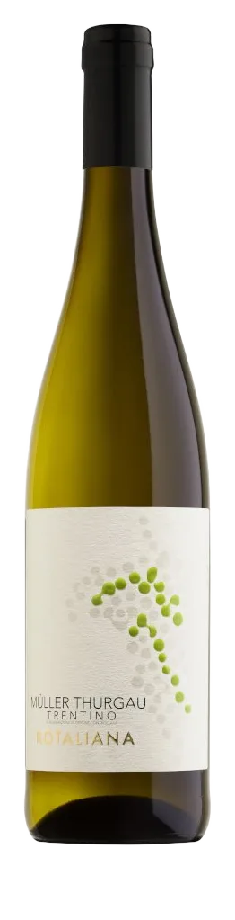 MÜLLER THURGAU