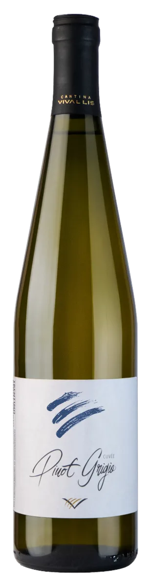Trentino DOC Pinot Grigio