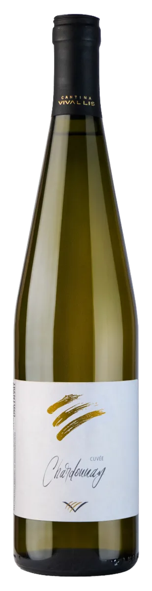 Trentino DOC Chardonnay