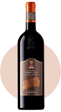 Vigna Marrucheto
