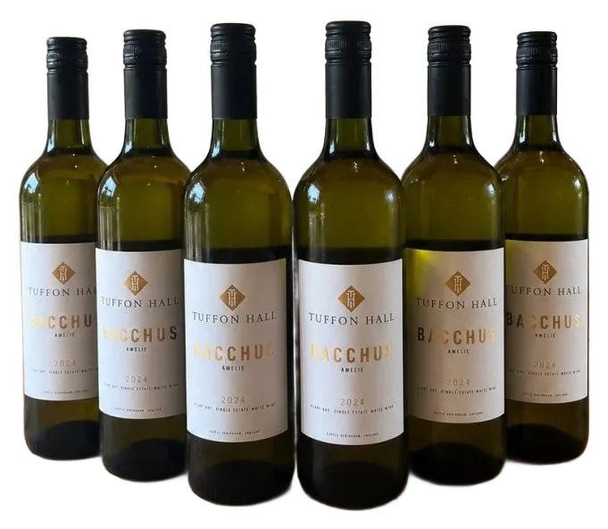 ‘Amelie’ English Bacchus 2024
