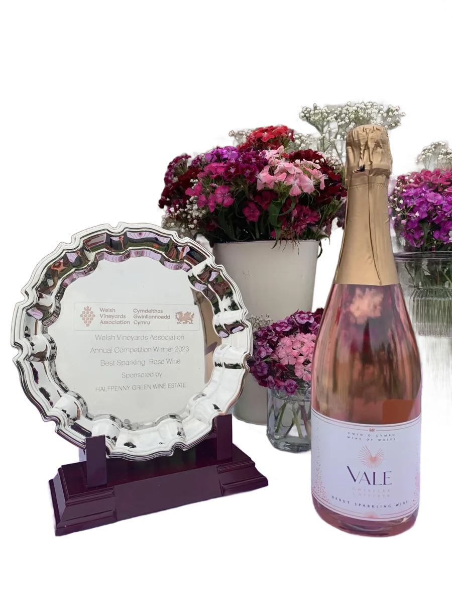 Sparkling Rosé Wine