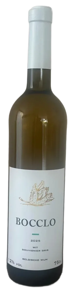 Souvignier Gris 2025