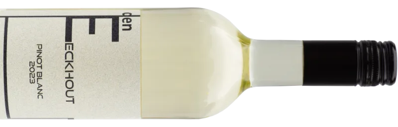 Pinot Blanc