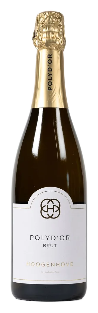 POLYD'OR BRUT