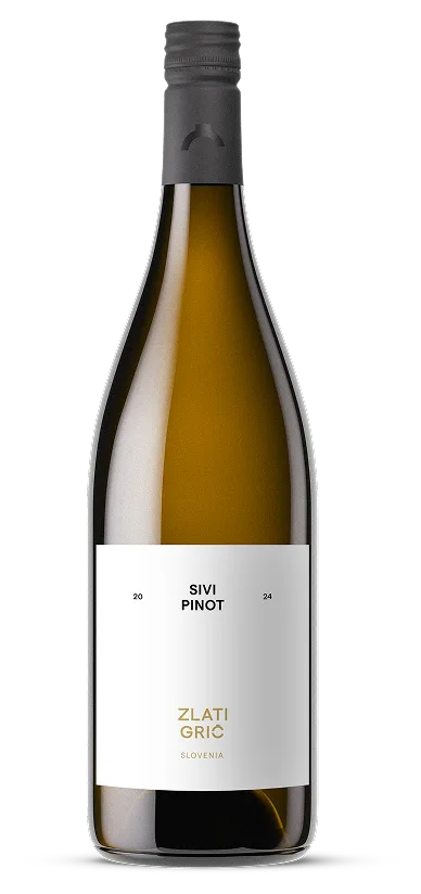 Sivi pinot