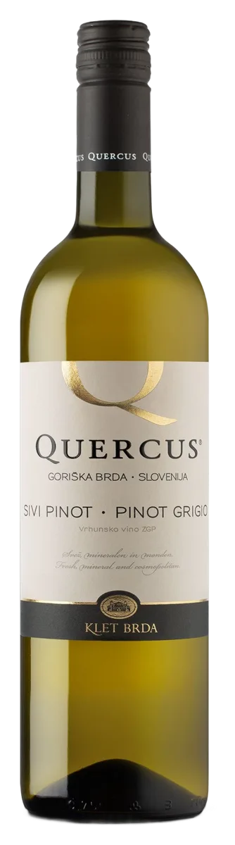 Sivi pinot Quercus 0,75 L