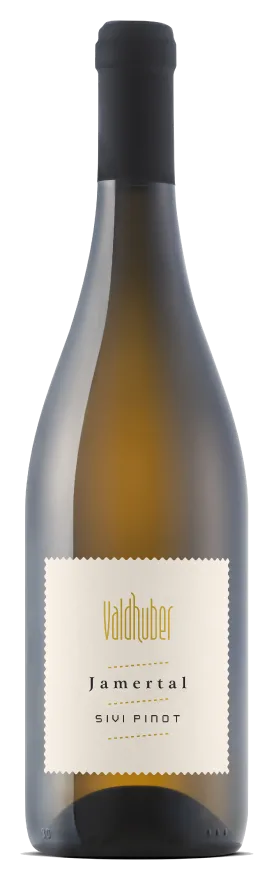 Sivi pinot Jamertal
