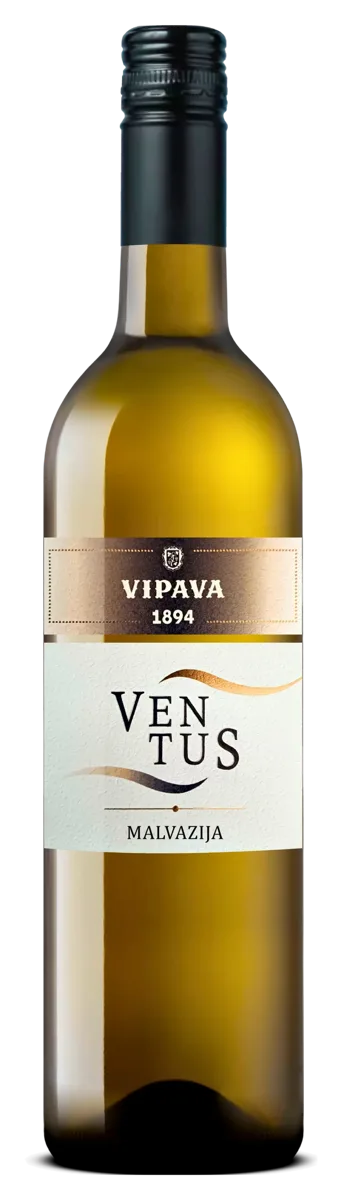 Ventus Malvazija