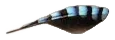 Muškát moravský