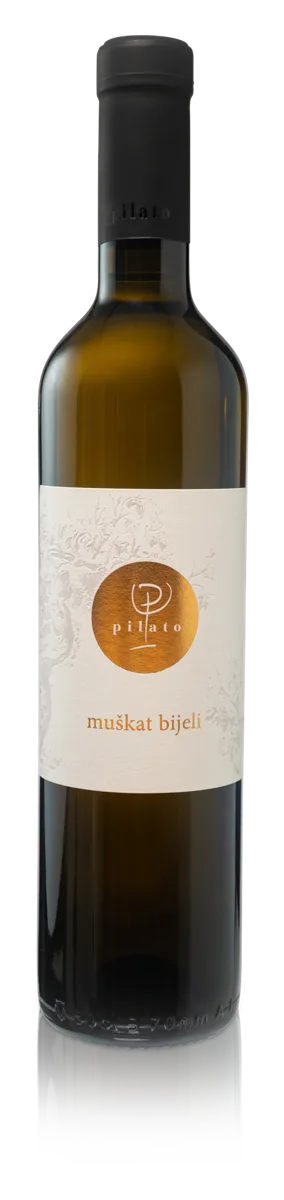 Muškat bijeli