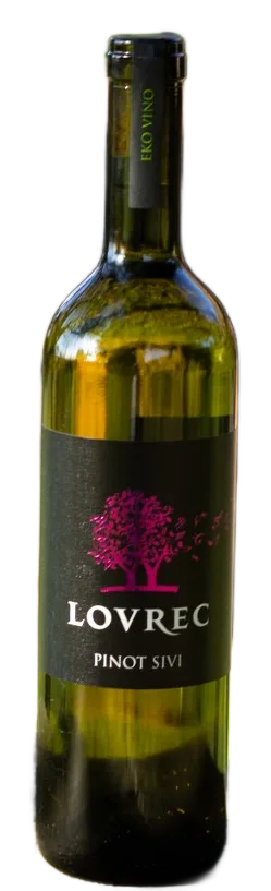 Sivi pinot