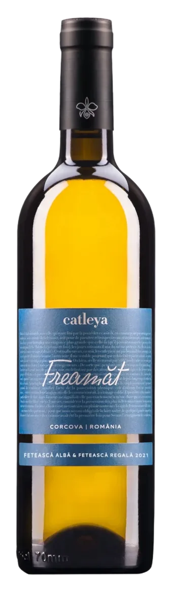 Catleya Freamăt Alb