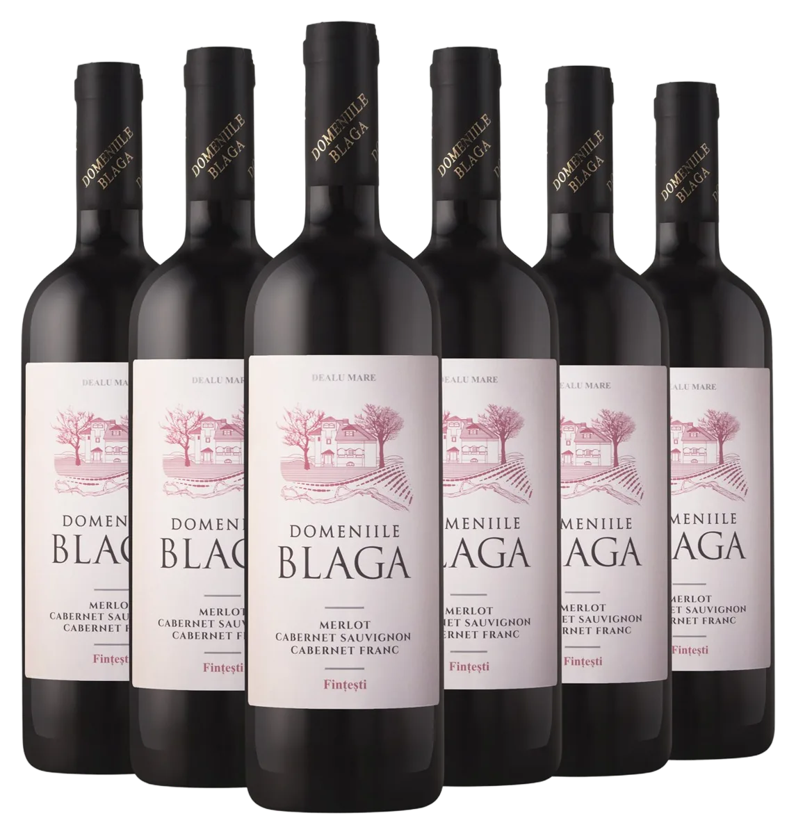 Merlot & Cabernet Sauvignon & Cabernet Franc